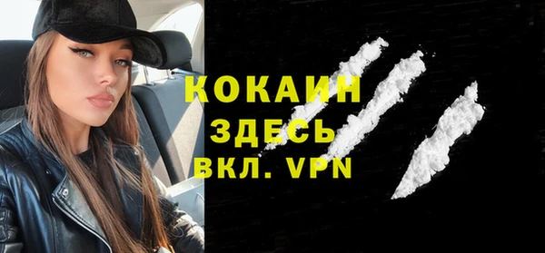 сатива Заводоуковск