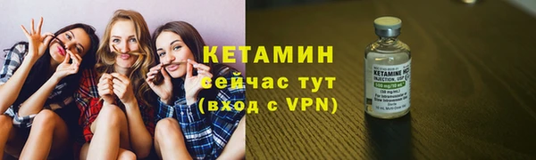 сатива Заводоуковск