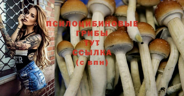 сатива Заводоуковск