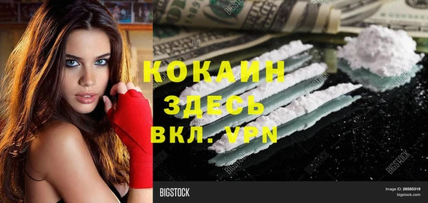 сатива Заводоуковск