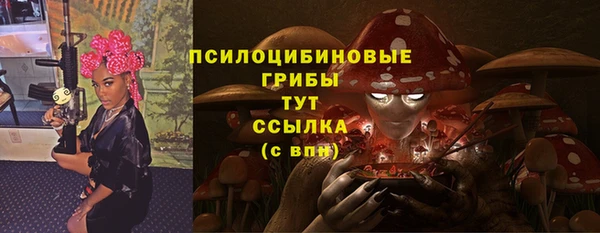ешки Елизово